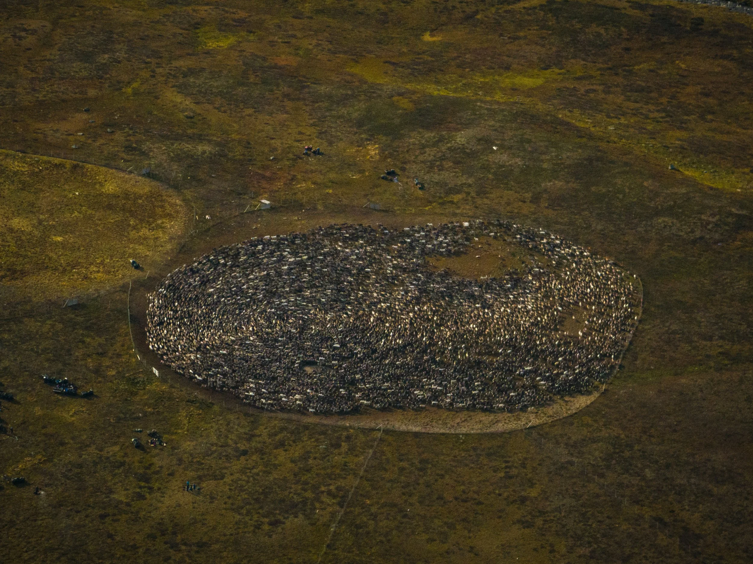 Luftaufnahme eines großen, ovalen Steinkreises in einer Landschaft mit Grün und braunen Flächen, Menschen und Fahrräder um den Steinkreis verteilt.