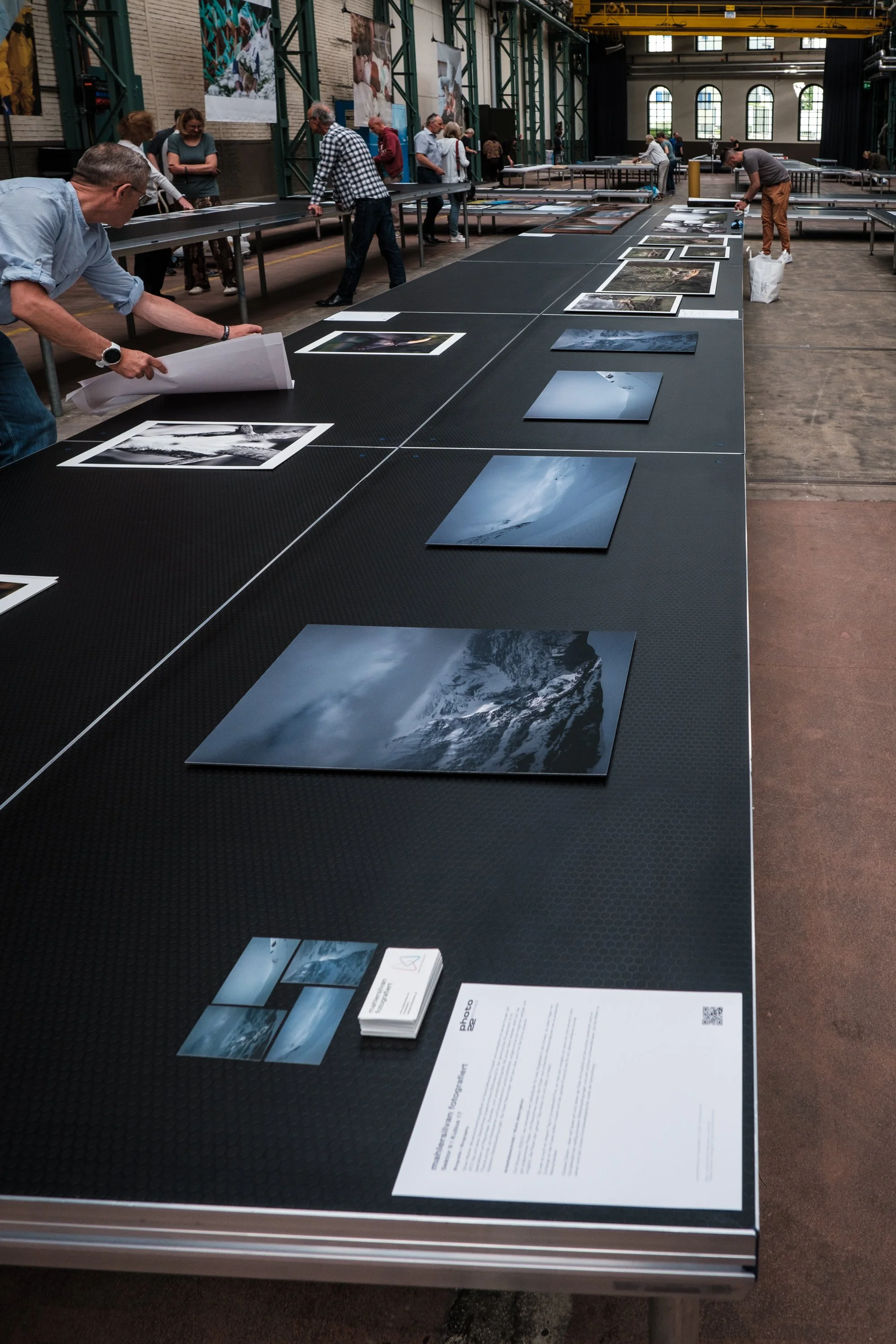 Menschen betrachten und organisieren großformatige Naturfotografien in einem Ausstellungsraum.