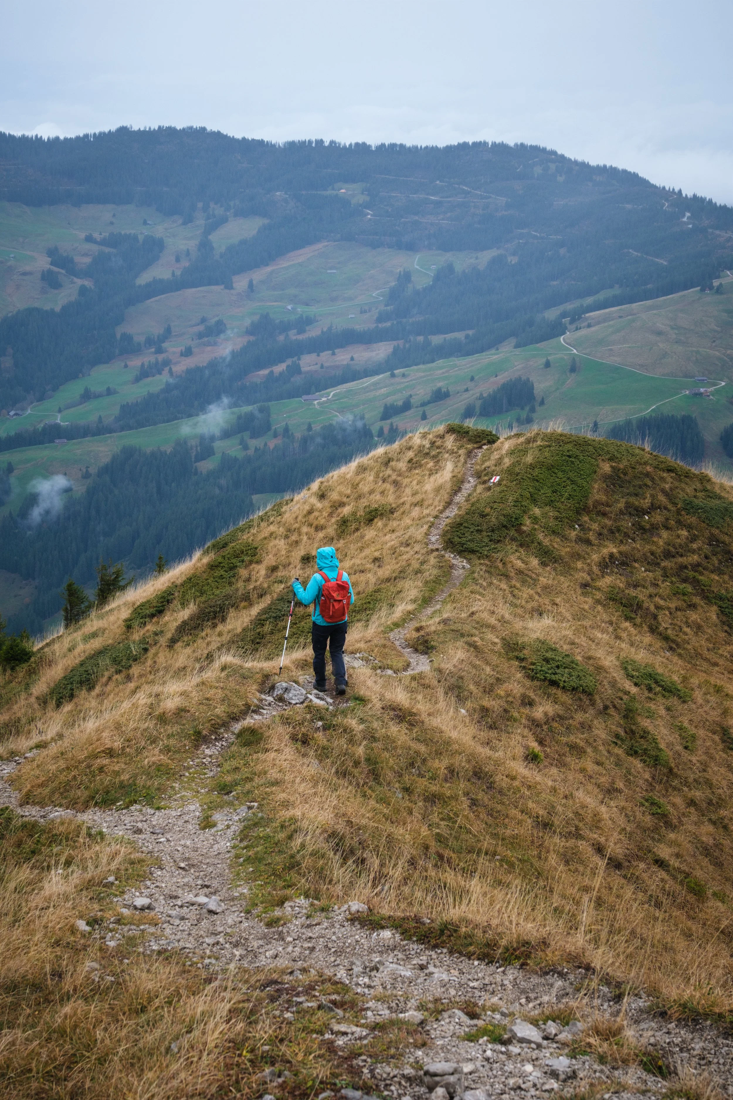 Wanderer mit blauer Jacke und rotem Rucksack auf einem schmalen Weg auf einer hügeligen grün-braunen Landschaft, im Hintergrund Berge mit Wiesen und Wäldern.