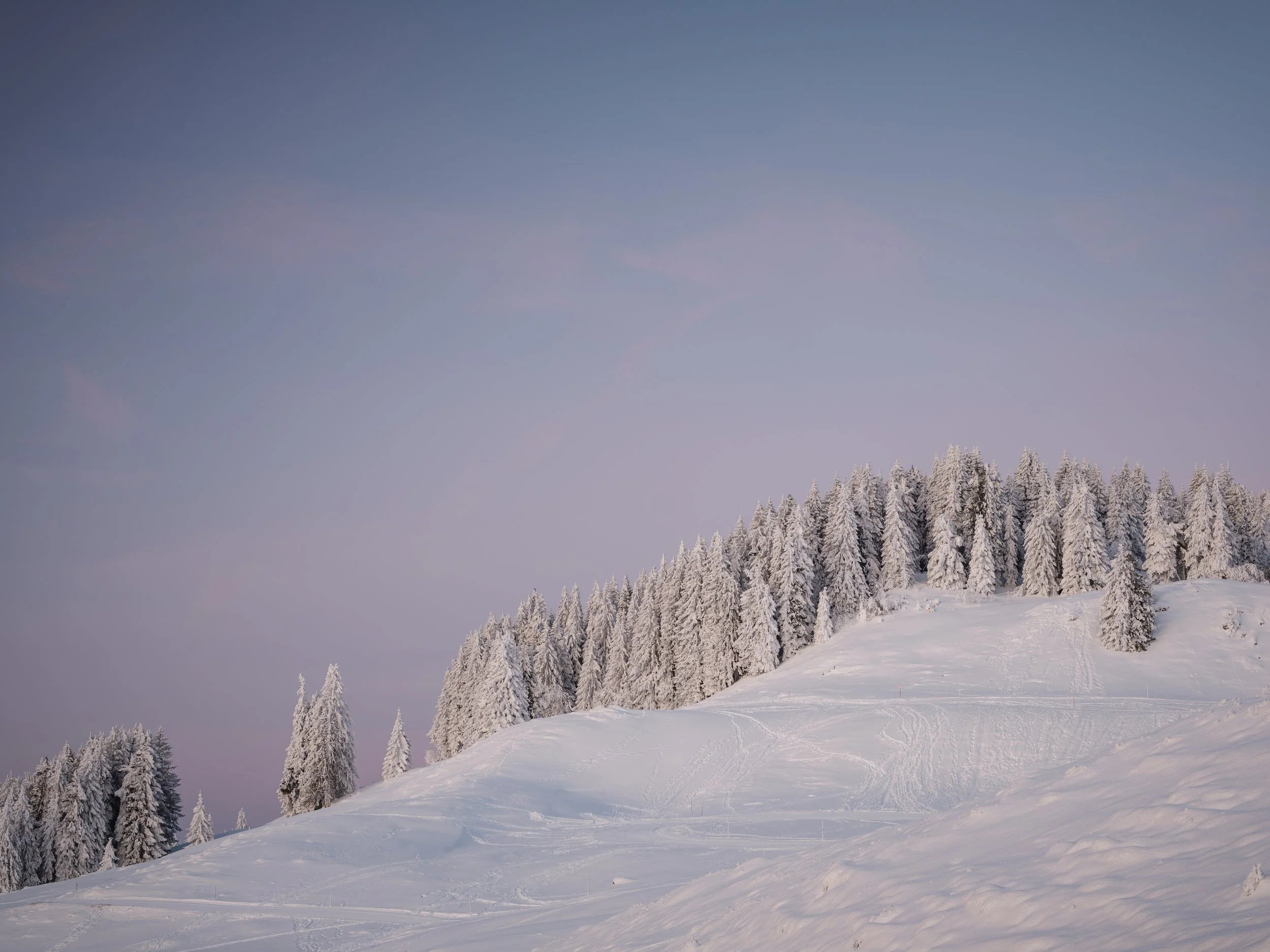 Verschneite Berglandschaft mit Tannenbäumen und klarer Himmel